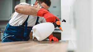 Real Estate Pest Inspections in North Druid Hills, GA